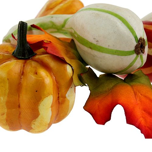 Dynia mix kolorowy 12szt. | Floristik24.pl