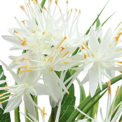 Floristik24 Bukiet Deco Biały 28cm