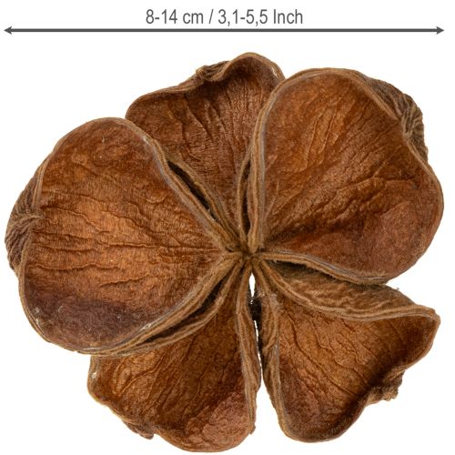 Produkt Landlotus Nature 50 szt.