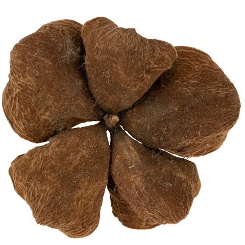 Produkt Landlotus Nature 50 szt.