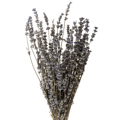 Suszona lawenda, pachnące suszone kwiaty, 35-40 cm, 50 g