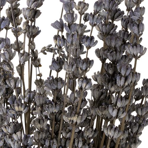 Produkt Suszona lawenda, pachnące suszone kwiaty, 35-40 cm, 50 g