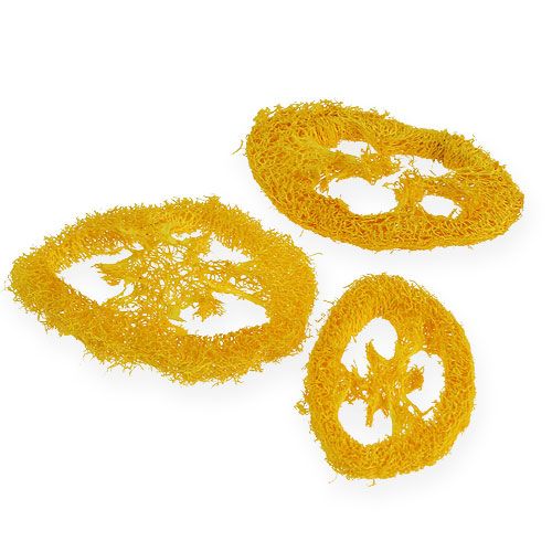 Floristik24 Krążki Luffa żółte 25 szt