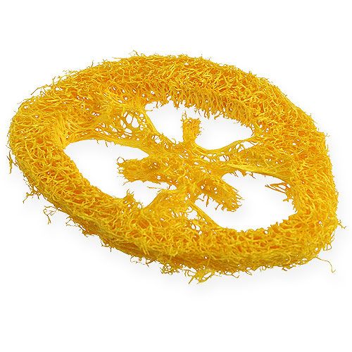 Floristik24 Krążki Luffa żółte 25 szt