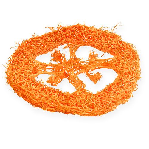 Produkt Plastry Loofah Pomarańczowe 25szt