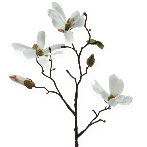 Floristik24 Dekoracja Gałązka Magnolia 40cm Biała 4szt.