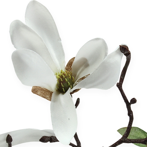 Floristik24 Dekoracja Gałązka Magnolia 40cm Biała 4szt.
