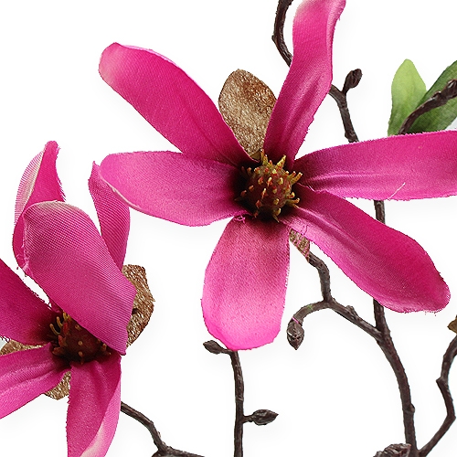 Produkt Gałązka magnolii różowa 45cm 4szt.