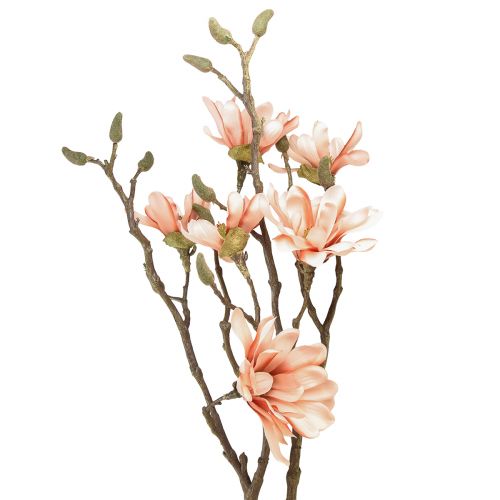 Floristik24 Gałązka magnolii z 6 kwiatami Magnolia sztuczna łosoś 84cm