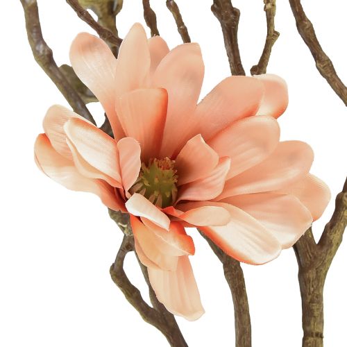 Floristik24 Gałązka magnolii z 6 kwiatami Magnolia sztuczna łosoś 84cm