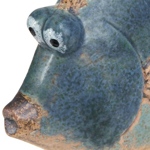 Produkt Dekoracja morska rybka niebieska dekoracja ceramiczna różne 19/17cm 2 szt