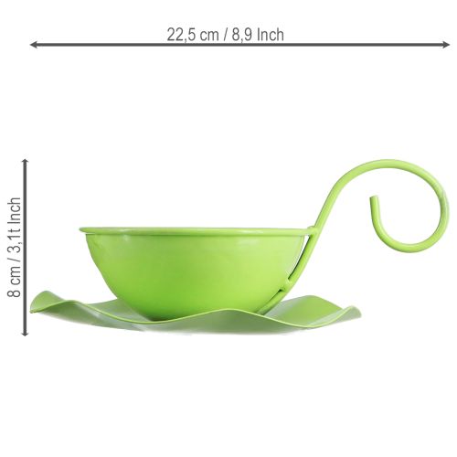 Filiżanka dekoracyjna metalowa ze spodkiem, jasnozielona, wys. 8 cm, Ø11,5 cm, 2 sztuki | Floristik24.pl