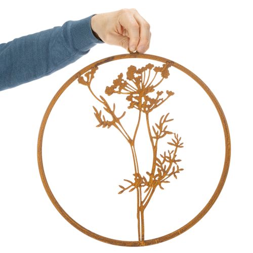 Pierścień metalowy, metal zardzewiały, pierścień dekoracyjny, dekoracja ścienna, gałązka kopru, Ø38cm | Floristik24.pl