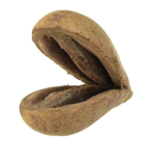 Floristik24 Mike Fruit Natural Materials Bagon Fruit Natural 8cm 50 szt
