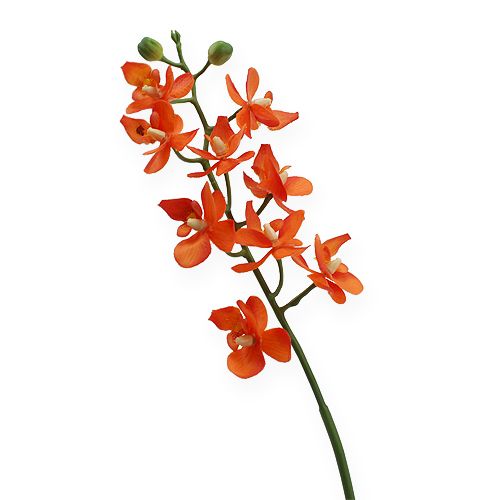 Floristik24 Mini Orchidea Real Touch Orange 35cm