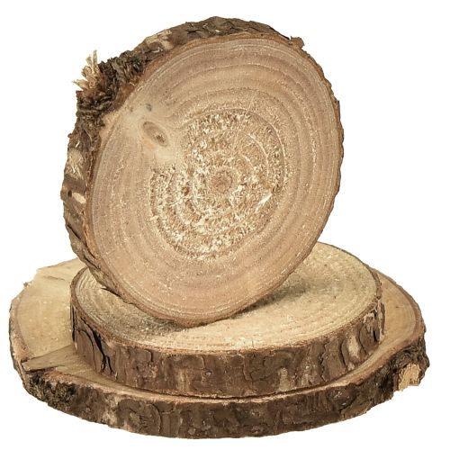 Produkt Mini drewniane krążki ozdobne krążki drzewne naturalne Ø3-6cm 600g
