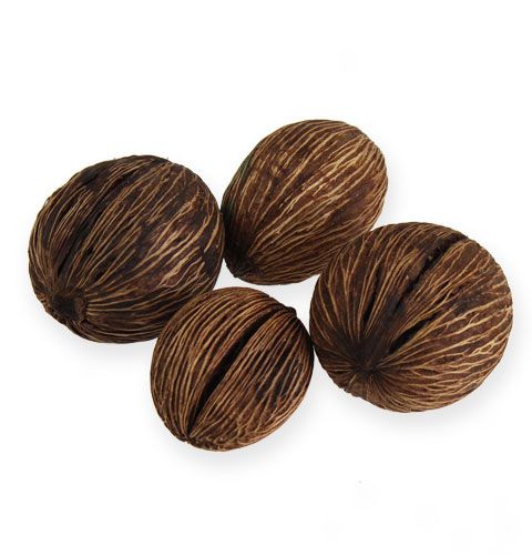 Floristik24 Mintolla Ball Nature mix 15 szt