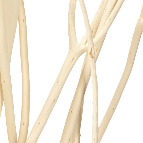 Produkt Gałązki Mitsumata białe 34-60cm 12 szt