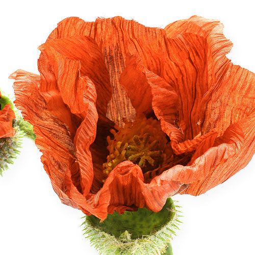 Produkt Kwiat maku pomarańczowy 67cm 2szt.