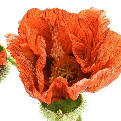 Floristik24 Kwiat maku pomarańczowy 67cm 2szt.