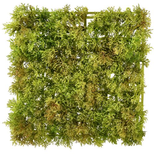 Produkt Mata ze sztucznego mchu – idealna do obrazka z mchem w kolorze jasnozielonym 25×25cm
