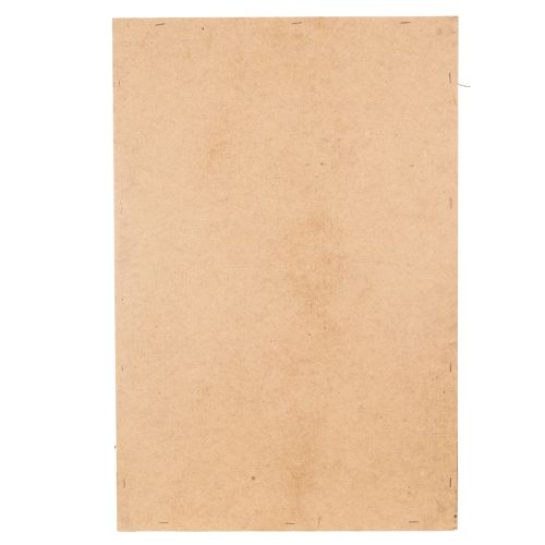 Produkt Obraz z mchu, prawdziwy zakonserwowany mech i gałązki, naturalny, 60×40cm