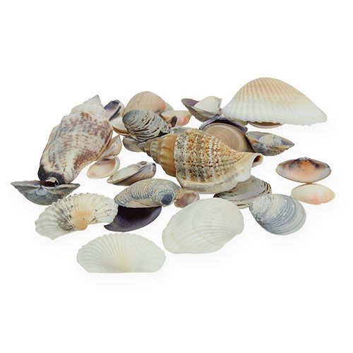 Produkt Naturalna mieszanka małży 400g