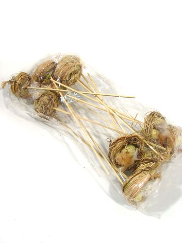 Floristik24 Ptasie gniazdo z jajkami na patyku 6cm 6szt