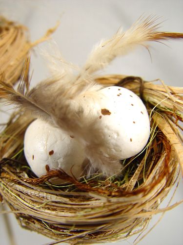 Floristik24 Ptasie gniazdo z jajkami na patyku 6cm 6szt