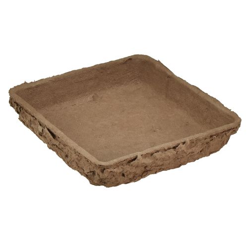 Floristik24 Podkład Oasis Biolit ½ cegła piankowa florystyczna 13×13×2cm 12 szt