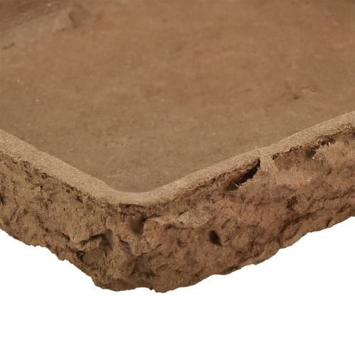 Produkt Podkład Oasis Biolit ½ cegła piankowa florystyczna 13×13×2cm 12 szt
