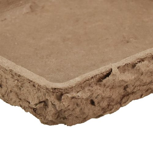 Produkt Podkład Oasis Biolit pod 2 płytki z pianki florystycznej 48×13×2cm 7 szt