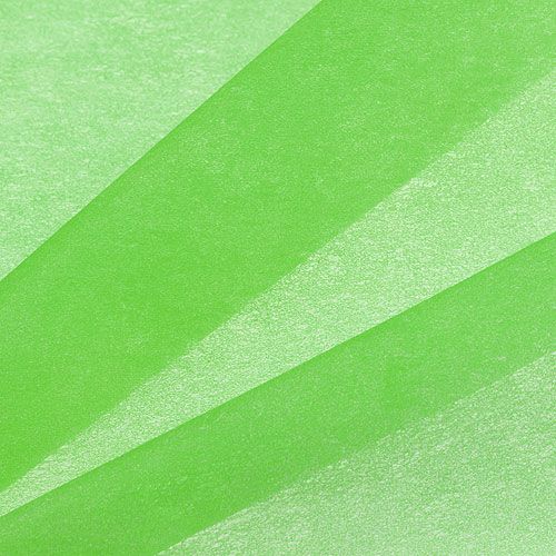 Floristik24 Deco Fleece 60cm x 20m Green