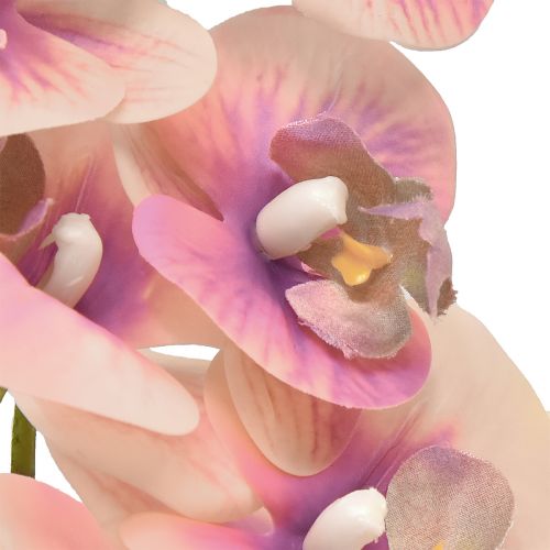 Produkt Storczyk Phalaenopsis sztuczny 7 kwiatów fioletowy kremowy 73cm
