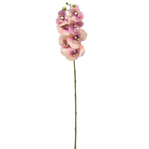 Produkt Storczyk Phalaenopsis sztuczny 7 kwiatów fioletowy kremowy 73cm