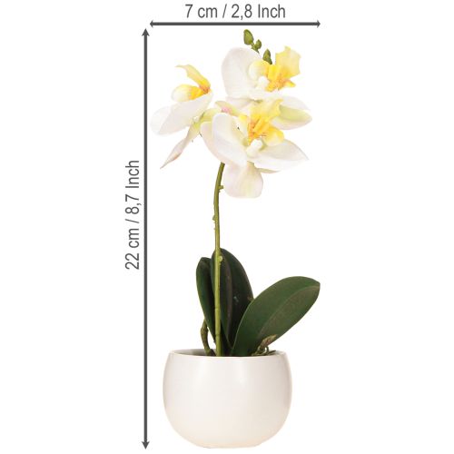 Produkt Sztuczne storczyki w doniczce białe mini storczyki Ø7cm H22cm
