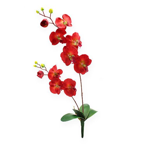 Floristik24 Dekoracyjna orchidea czerwona 68 cm