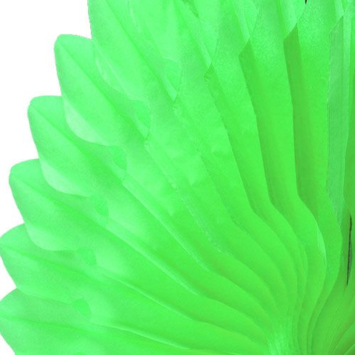 Floristik24 Plaster miodu Papierowy kwiat zielony Ø40cm 4szt