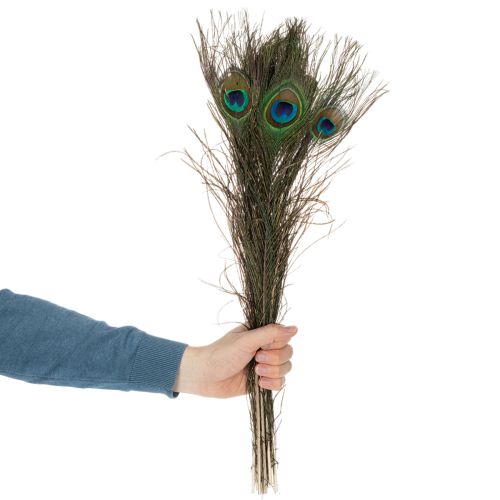 Produkt Pióra pawie, prawdziwe pióra ptasie do rękodzieła i dekoracji, 55 cm, 10 sztuk