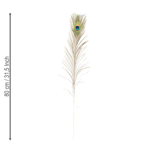 Produkt Ozdoba z piór pawich, prawdziwe pióra ptasie, długość 75-85 cm, 8 sztuk