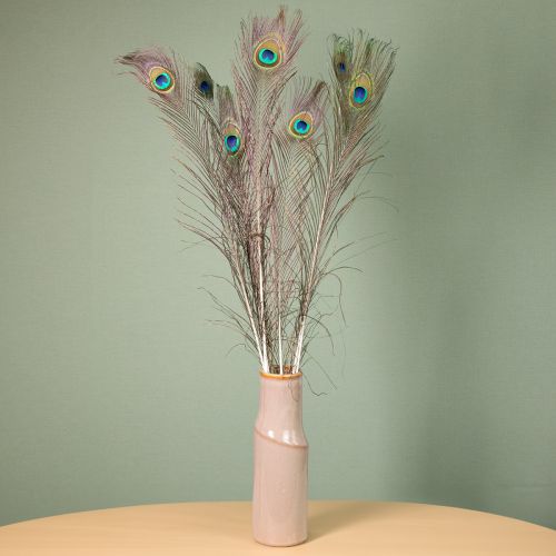 Produkt Ozdoba z piór pawich, prawdziwe pióra ptasie, długość 75-85 cm, 8 sztuk