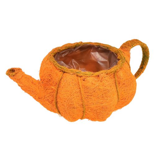 Produkt Dekoracja dyni doniczkowej pomarańczowo-żółta zielona Ø19cm W12cm