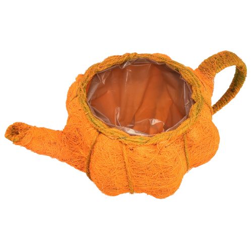 Produkt Dekoracja dyni doniczkowej pomarańczowo-żółta zielona Ø19cm W12cm