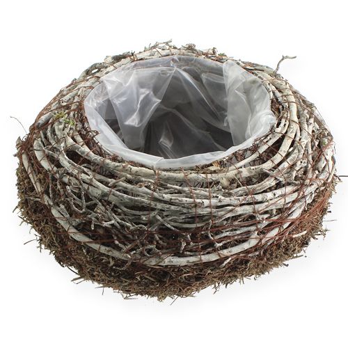 Floristik24 Sadzarka Ø18cm