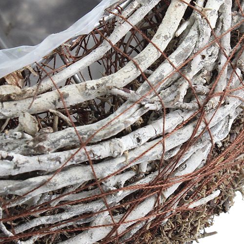 Floristik24 Sadzarka Ø18cm