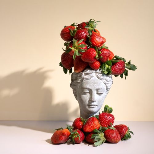 Produkt Popiersie rośliny szaro-niebieskie Ø8cm H15cm