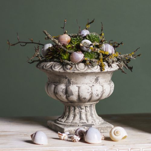 Produkt Miska na rośliny trofeum doniczkowe antyczny beton Ø20cm W16,5cm