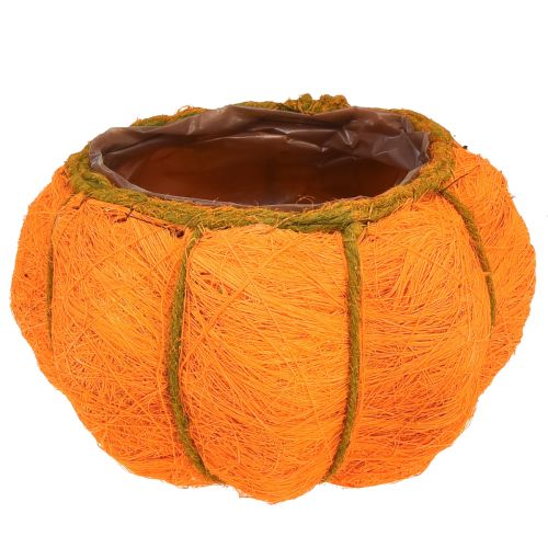 Produkt Dekoracja dyni doniczkowej pomarańczowy/żółto-zielony sizal Ø21cm W12cm