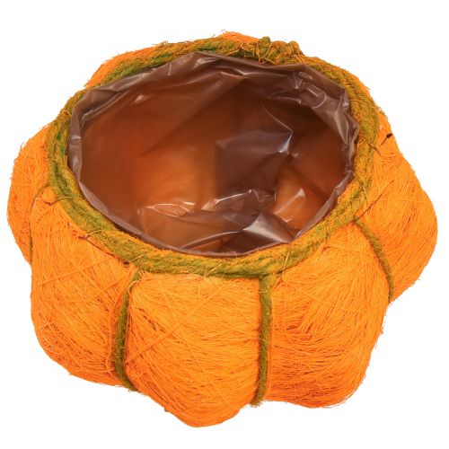 Produkt Dekoracja dyni doniczkowej pomarańczowy/żółto-zielony sizal Ø21cm W12cm