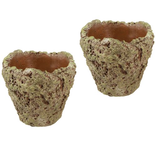 Produkt Donica doniczkowa rustykalna o wyglądzie lasu Ø12,5cm W12cm 6szt